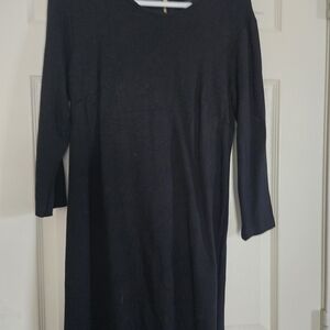 Ann Taylor Classic Black Long Sleeve Dress